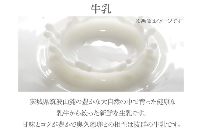 つくばぷりん ゴールドぷりん 10個入 ( 桜川市 × 大洗町 共通返礼品 ） 奥久慈卵 卵黄 濃厚 とろける プリン ぷりん スイーツ デザート 洋菓子 お菓子 おかし 乳製品