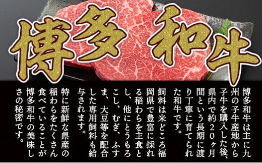 博多和牛 【A4～A5】 モモ ステーキ 100g 5p 約500g [MEAT PLUS 福岡県 宇美町 um40azp010036] 牛肉 肉 もも肉 モモ肉 牛モモ 和牛 牛