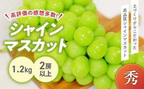 【来年（2026年/令和8年）発送＜先行予約＞】土にこだわったシャインマスカット 1.2kg 2房以上 先行予約 山梨県産 朝採り 新鮮 シャインマスカット 国産 産地直送 人気 おすすめ 贈答 ギフト お取り寄せ フルーツ 果物 くだもの ぶどう ブドウ 葡萄 新鮮 甘い 皮ごと 甲斐市 BI-5