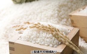 令和7年度産 きぬむすめ 精米 5kg 岡山県 赤磐市産 お米 
