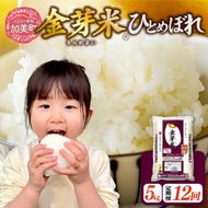 【新米予約】金芽米 定期便 無洗米 5kg × 12ヶ月 計 60kg 令和8年 米 特別栽培米 ひとめぼれ 宮城県 加美産 BG無洗米 [ 宮城県 加美町 ] km-km-knm05-t12-r8 | km-km-knm05-t12-r8