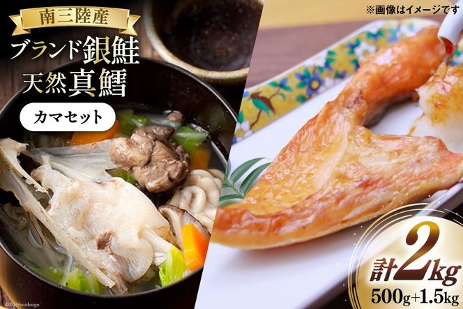 y{錧Oz 500g ^L 1.5kg J} Zbg v 2kg [O񂳂}VF {錧 O 30ai0054] lߍ킹 CN      TP VP L ^   Ⓚ ܂ ` ݂` Y O