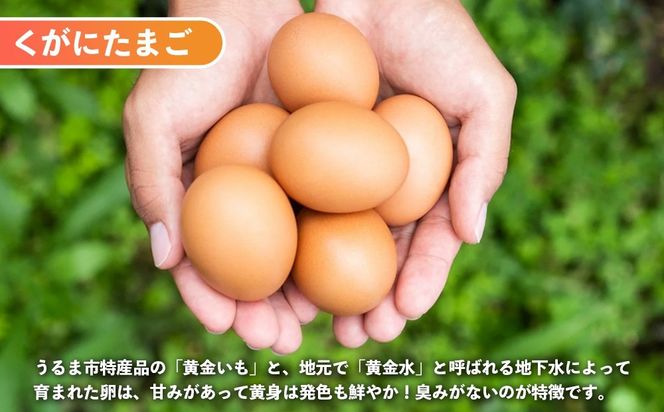 黄金（くがに）セット《くがにたまご物語＋くがにたまご6個入り×2》