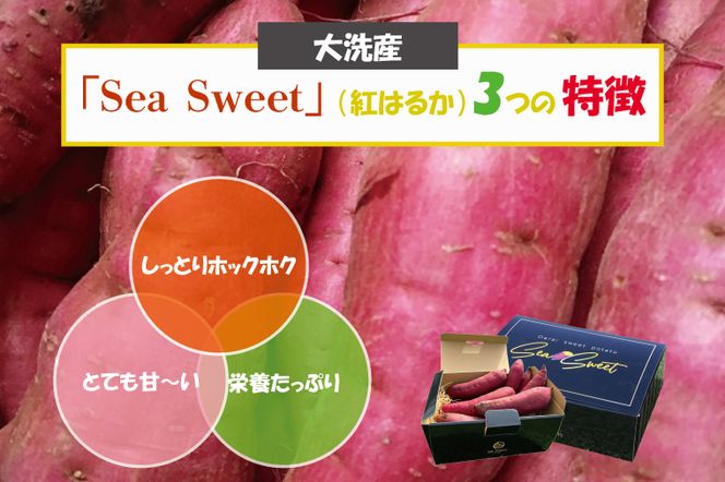 大洗産 さつまいも 紅はるか 2.5kg （8本前後） 「Sea Sweet」 長期熟成 茨城県産 サツマイモ 土付き 生芋 芋 さつま芋 薩摩芋 甘藷 べにはるか