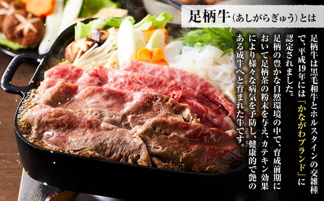 【ふるプレ限定品】足柄牛 上うですき焼き用 500g 142069_AG036
