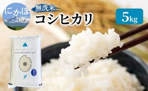 米 無洗米 令和7年産 コシヒカリ 5kg×1 秋田県 にかほ市 お米 こめ