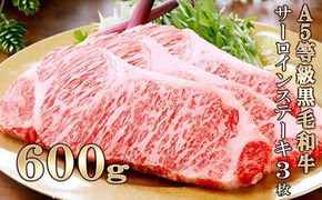 鹿児島県産A5等級黒毛和牛サーロインステーキ3枚(600g) C0-17【1166313】