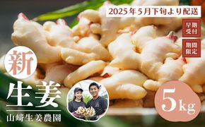 24-819．【早期受付・期間限定】みずみずしさがたまらない！新生姜約5kg【2025年5月下旬～9月上旬配送】