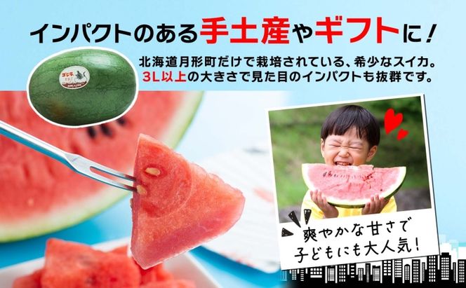 北海道 大玉 スイカ ゴジラのたまご 木箱入り 1玉 約8kg 2026年7月初旬より順次出荷 すいか 西瓜 果物 フルーツ 旬 希少 貴重 甘い ユニーク 国産 産地直送 ギフト 贈答品 お取り寄せ エーコープつきがた