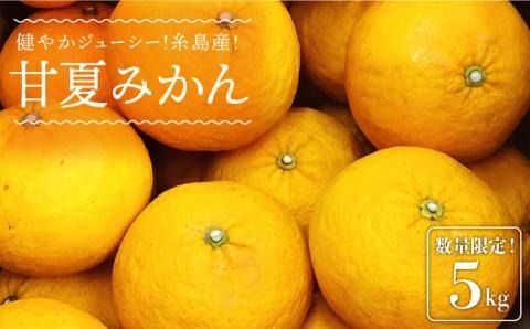 【先行予約】健やかジューシー・夏の味 糸島産甘夏みかんM〜L玉・約5kg 【2026年4月より順次発送】二丈赤米産直センター[ABB007]