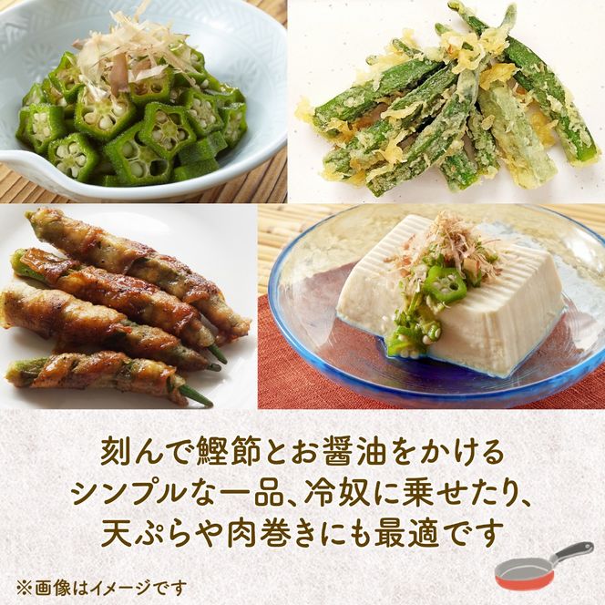 オクラ 500g おくら 野菜 生オクラ やさい さのさんち JGAP認証農場 国産 調理 旬 夏 肉巻き 天ぷら 静岡県 藤枝市