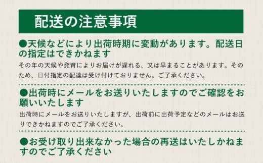 【ふるプレ限定品】【2026年 先行予約】山梨県産　シャインマスカット 約1.1kg (２房～3房)　FB014_premiamu