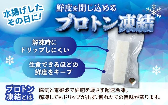 セーイカ (そでいか) 0.6kg (300g ×2パック) 沖縄市 / 沖縄市漁業協同組合 パヤオ直売店[BCDZ002]