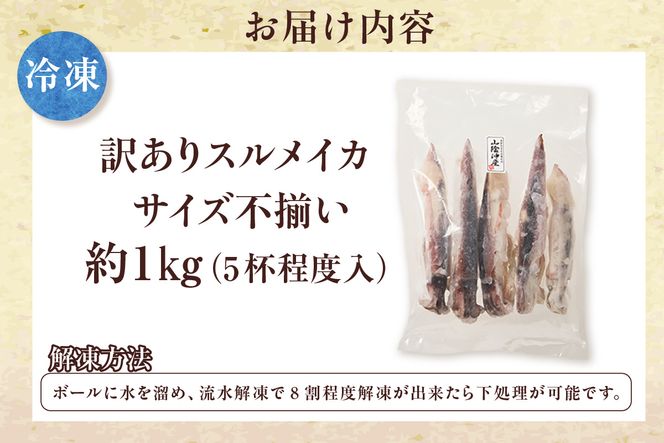 【スルメイカ たっぷり約1kg サイズ不揃い】冷凍 訳あり 国産 バラ凍結 産地直送 鮮度抜群 いか イカ するめいか スルメイカ 刺身 使いやすい 便利 大人気 ふるさと納税 返礼品 香美町 香住 山米鮮魚 12000円 74-17