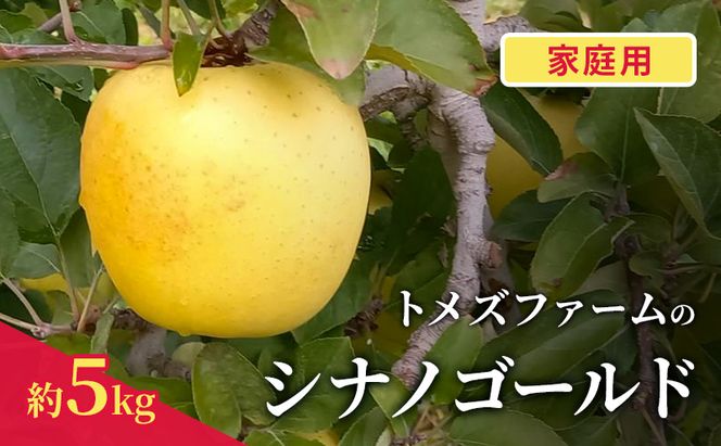 シナノゴールド（家庭用） 約5kg（15～20玉入り）トメズファーム　りんご　長野　信州　小諸　果物　フルーツ
