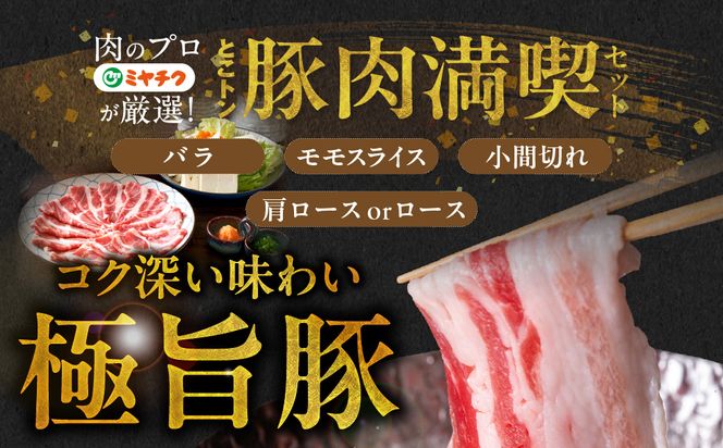 宮崎県産豚肉バラエティ2.3kgセット_MJ-N206