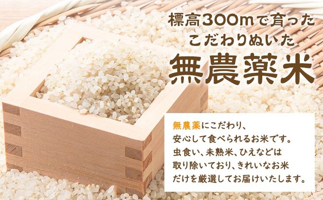 無洗米 ホタルの里水越の自然栽培米 約2.1kg 300g×7袋 合同会社点天《30日以内に発送予定(土日祝除く)》洗わなくてOK 米 コメ 小分け 便利 熊本県産---mf_tnmsn6nen_24_30d_10000_2100g---