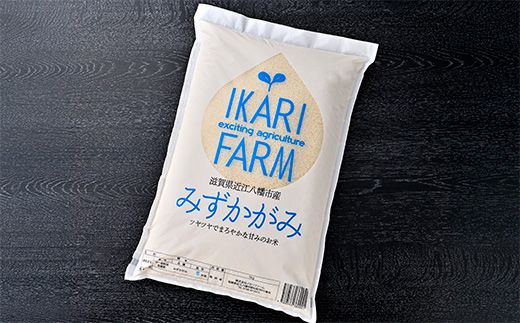 【新米】令和8年産冷めても美味しいあっさりとした味わい「みずかがみ」白米【5kg】【C014W2】（滋賀県　近江八幡市）