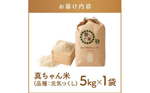 【B7-036】【令和7年産】農薬・化学肥料不使用 真ちゃん米 5kg
