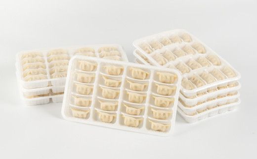 【野菜たっぷりヘルシー♪】一口ぎょうざ160個セット  B-636