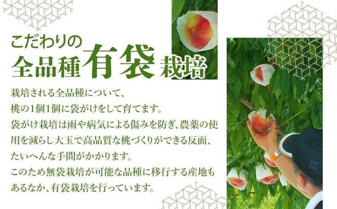 【2025年先行予約】都留市産　厳選　桃　詰め合わせ GV001