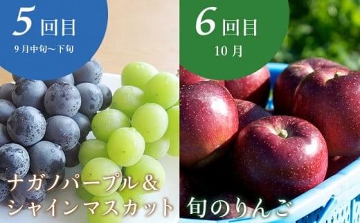 ［年10回定期便］ 信州の人気フルーツ定期便 年10回コース ［小布施屋］ 定期便 頒布会 フルーツ 果物 信州 令和7年産 【2025年6月中旬～2026年2月発送】［E-9］