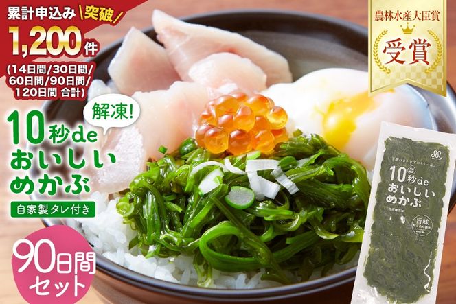 y{錧CszTVEVŏЉ ! 10bde߂ 90ԃZbg(Ɛ^t) [۔ɏX {錧 Cs 20565506] C O OY  ߂ Ju Y ^t ①