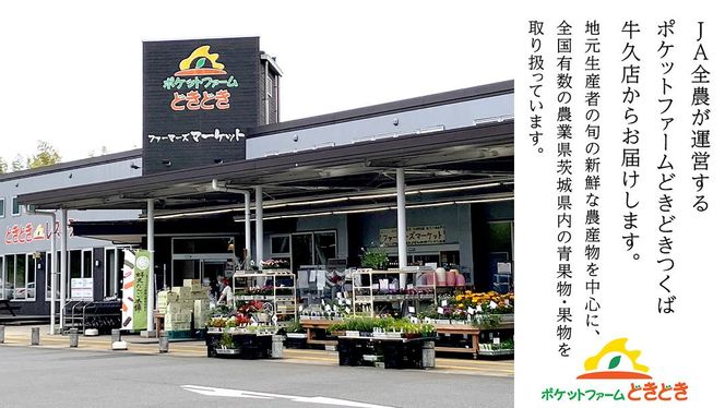 【5月下旬頃より発送】茨城県産 青肉・赤肉メロンセット 秀品または優品 3Lまたは4Lサイズ×各1玉入 おすすめ JA全農いばらき JA メロン めろん フルーツ くだもの 果物 国産旬 定番 旬 期間限定 青肉 赤肉 食べ比べ アンデス クインシー エルソル