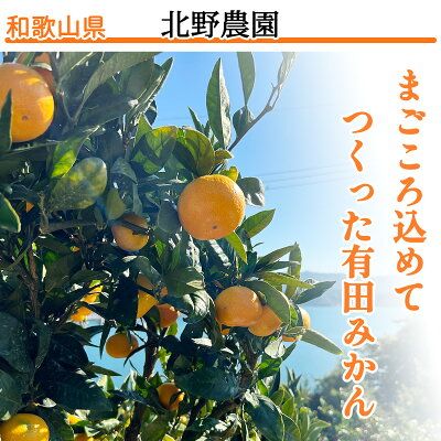 DZ6033_【2026年先行予約】家庭用 ご有田みかん 和歌山 小玉(2S,3Sサイズ混合) 約3kg