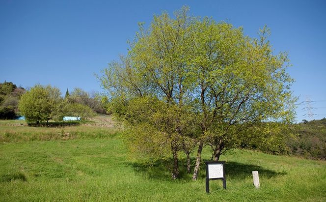 往古来今 フリーカップセット（備前焼×寒風須恵器） 雑貨 食器 キッチン用品 味わい シンプル 焼酎 ビール デザート 料理 自由度 高い 焼き物 食卓 