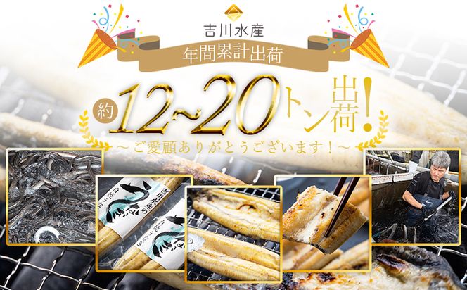 【10日程度で発送】贈答用 高知県産鰻の白焼き120～130ｇ3尾 刻み鰻50ｇ×5袋 蒲焼きのタレ5袋 天日塩20ｇ yw-0131