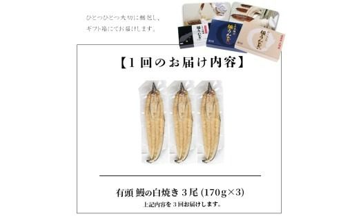【定期便全3回】うなぎ本来の旨みが楽しめる白焼き定期便！ t0066-002