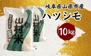山県市産 ハツシモ 10kg（5kg×2袋）（白米） [No.803]