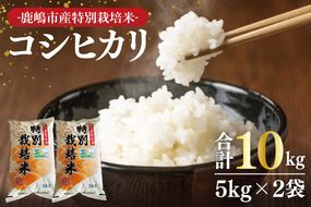 【令和7年産】鹿嶋市の子どもたちが食べている特別栽培米コシヒカリ10kg（5kg×2袋）【お米 米 こしひかり 特別栽培 有機肥料 有機栽培 鹿嶋市 茨城県 白米 おにぎり ごはん 30000円以内 3万円以内 】(KBS-7）