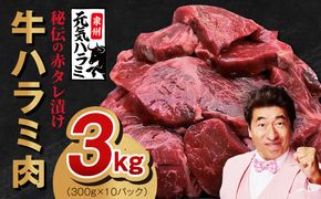 099H4053 【TVで紹介！】牛ハラミ肉 3kg（300g×10）秘伝の赤タレ漬け 訳あり サイズ不揃い