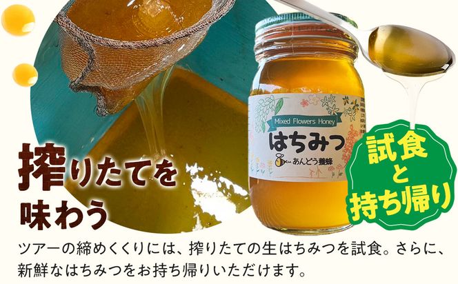 1282.【要予約 大人1名様用】あんどう養蜂 まるごと養蜂体験（約3時間）はちみつ600g付き 313726_BW019