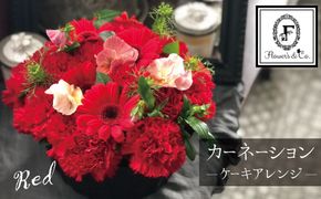 【花瓶いらず！】レッドカーネーションでふわもこケーキのようなフラワーアレンジ！ そのまま飾れる プレゼント 贈り物 還暦 記念日 お誕生日 お祝い 母の日 H174-010