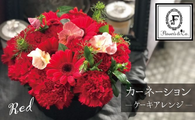 【花瓶いらず！】レッドカーネーションでふわもこケーキのようなフラワーアレンジ！ そのまま飾れる プレゼント 贈り物 還暦 記念日 お誕生日 お祝い 母の日 H174-010