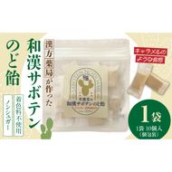 和漢サボテンのど飴　1袋 ［103S12］ 和漢 サボテン のど飴 草漢堂 オリジナル サボテンパウダー入り ノンシュガー 着色料不使用 個包装 島川あめ店 コラボ 飴 キャンディー おかし お取り寄せ 愛知県 小牧市 送料無料
