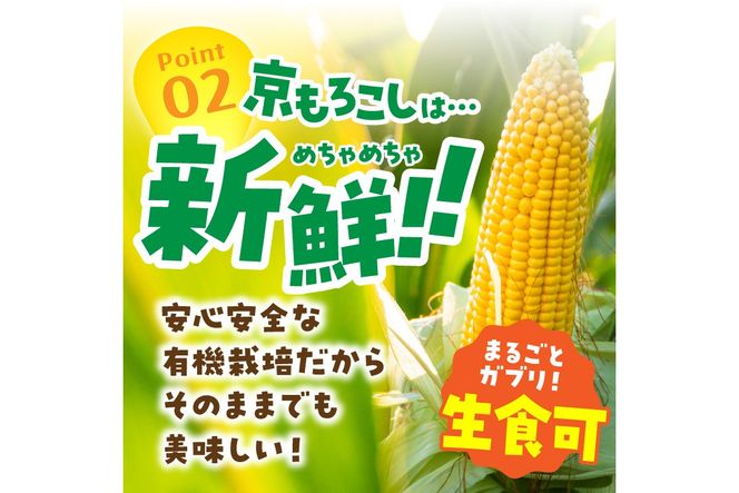 ＜てんとうむしばたけ＞有機とうもろこし5本　有機野菜 甘い 野菜 ふるさと納税 とうもろこし 期間限定 とうもろこしごはん かき揚げ 有機 オーガニック 産地直送 旬野菜 旬 コーン バター ペッパーランチ シャキシャキ 弾ける 丸ごと かぶりつきBR00029