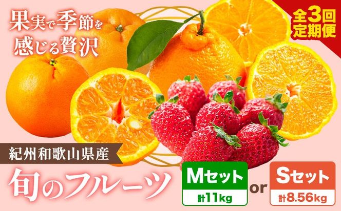 【発送月固定定期便】紀州和歌山県産 旬のフルーツ (いちご・ポンカン・紀州デコ) 全3回 選べる内容量 Mセット Sセット 魚鶴商店《1月上旬-3月下旬頃出荷》 和歌山県 日高町 まりひめ いちご ポンカン 紀州デコ 不知火 定期便 フルーツ 果物 定期便---wsh_uotteim_26_51000_jun3---