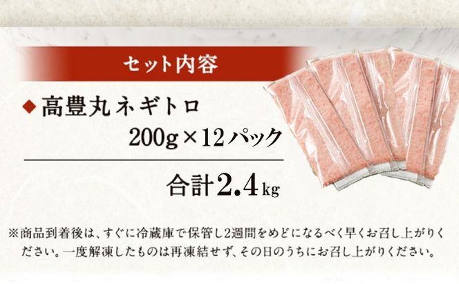 ネギトロ （まぐろたたき） 2.4kg (200g×12パック) 訳あり 天然まぐろ 高品質 ねぎとろ マグロ 鮪 まぐろ たたき まぐろのたたき 訳あり おかず 魚介 魚 寿司 すし 海鮮 小分け 海鮮丼 手巻き寿司 冷凍 故郷納税 送料無料 室戸 ngt tk014!