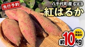 訳あり さつまいも 紅はるか 約 10kg 土付き 無選別 茨城 八千代町産 生芋 サツマイモ さつま芋 焼き芋 やきいも 芋 イモ 野菜 不揃い 規格外 長期熟成 おやつ デザート 秋 旬 農家直送 【 先行予約 2025年10月下旬以降発送 】 [AX010ya]