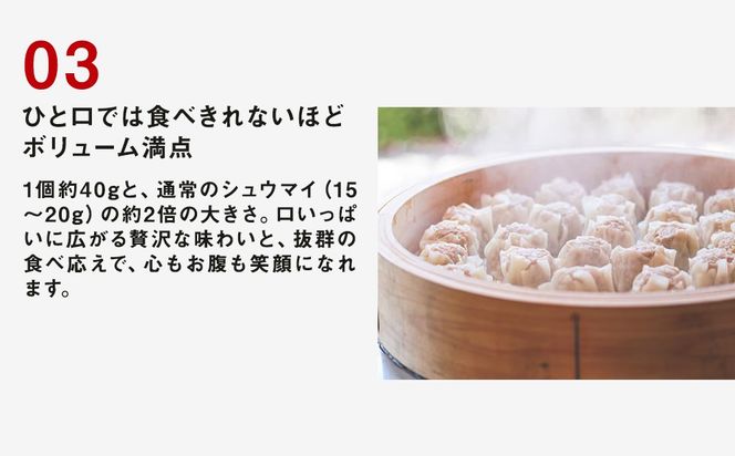 冷凍 特製豚シウマイ 20個入り×3パック | 焼売 加工品 惣菜 シュウマイ 国産豚 赤身肉 笑福シウマイ 低脂質 笑顔 縁起の良い ジューシー さっぱり ヘルシー 美味しい