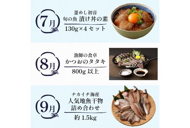 【定期便 12回】室戸まるごと定期便 海鮮コース 海鮮 魚介 かつお 本マグロ ネギトロ 伊勢海老 鰹 かつおのたたき マグロ 鮪 イセエビ 魚介類 海の幸 海鮮定期便 高知県 室戸市