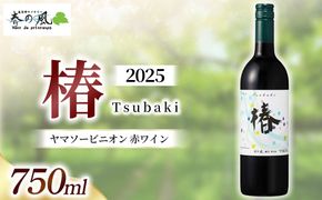春日井ワイナリー春の風 2025(椿)ヤマソービニオン 赤ワイン 750ml