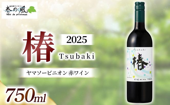 春日井ワイナリー春の風 2025(椿)ヤマソービニオン 赤ワイン 750ml