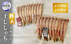 特大 北海道産 干ししゃも オス10尾・メス10尾 魚貝類 海鮮 海の幸 海産物 魚 おかず つまみ お酒のあて 海道産ししゃも 高級魚 一夜干し 