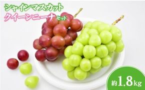 【ぶどう2種食べ比べ】シャインマスカット＆クイーンニーナ 計1.8kg程度（国産 フルーツ 果物 くだもの ブドウ シャインマスカット クインニーナ 食べ比べ）