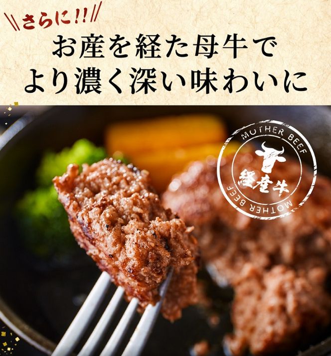 【累計5,000個突破！】但馬牛経産牛ハンバーグ（150g×10個）020AA09N.／個包装 牛肉 黒毛和牛 100% 国産 経産牛 和牛 赤身 味付け ほくぶ バーベキュー bbq キャンプ アウトドア 焼肉 小分け 簡単調理 セット 詰め合わせ 詰合せ 冷凍 お弁当 おかず